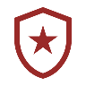 Icon: Shield with star - Investigation Authority